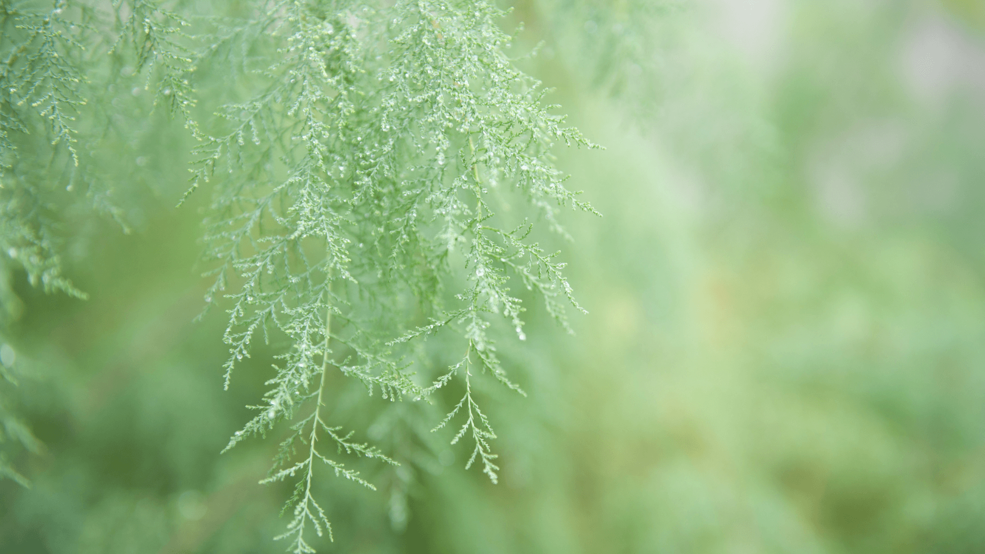 Building Community — Regenpreneur PDC, New Zealand
