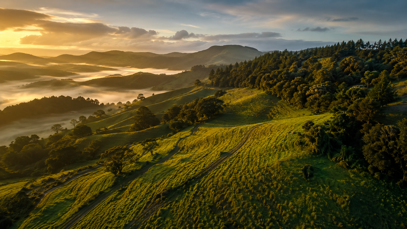Topography — Regenpreneur PDC, New Zealand