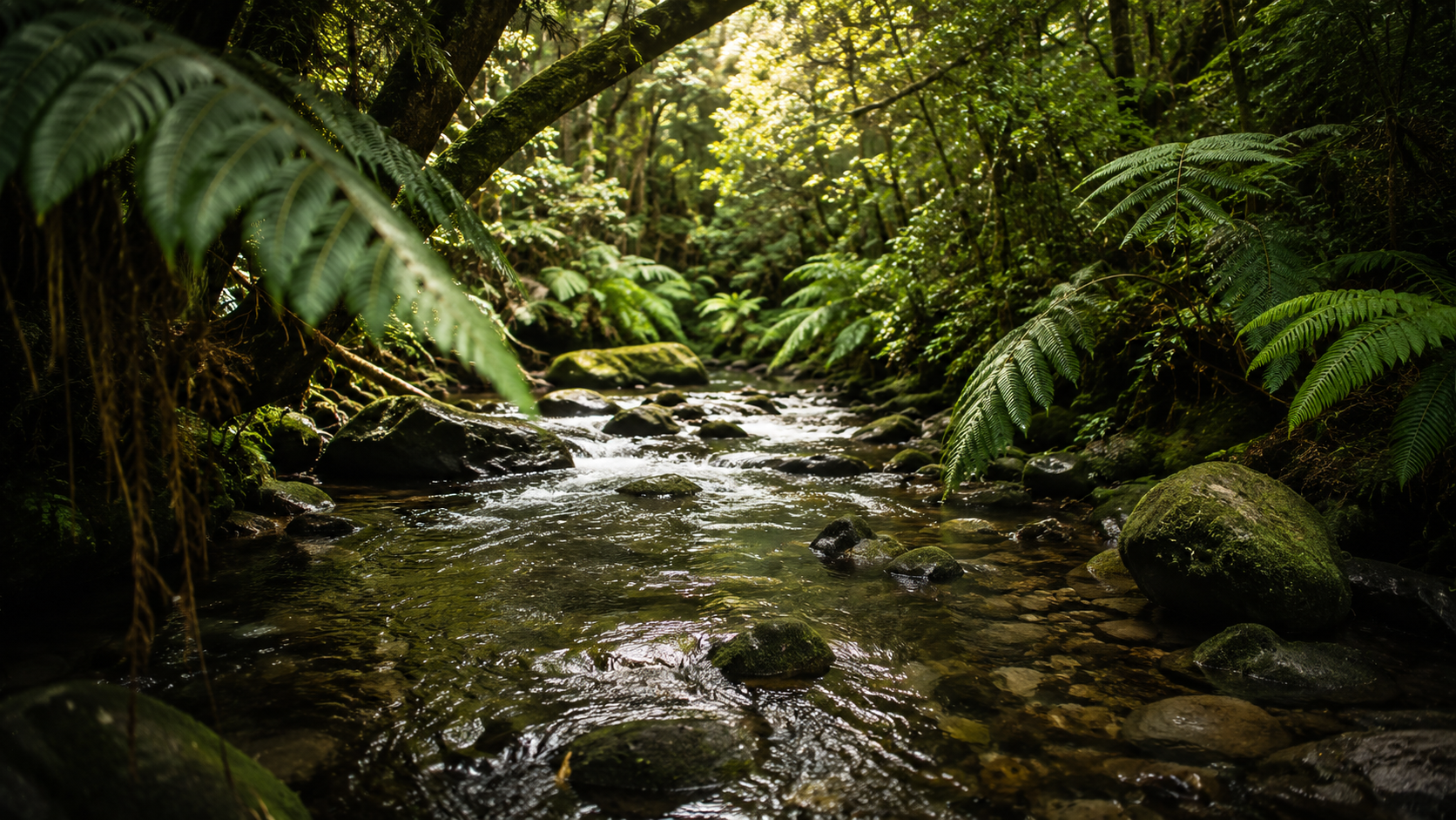 Water Quality — Regenpreneur PDC, New Zealand