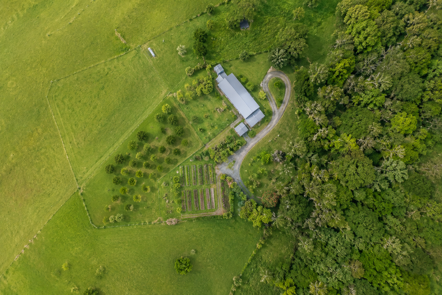 Holistic Land Design — Regenpreneur PDC, New Zealand